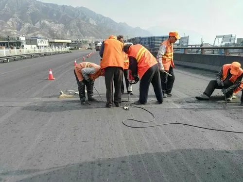 宜丰道路桥梁病害治理